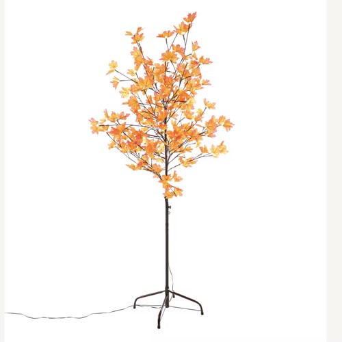 Outdoor 5ft 6ft autumn - outdoor,