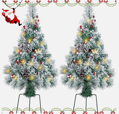 Pack christmas trees - 2, outdoor