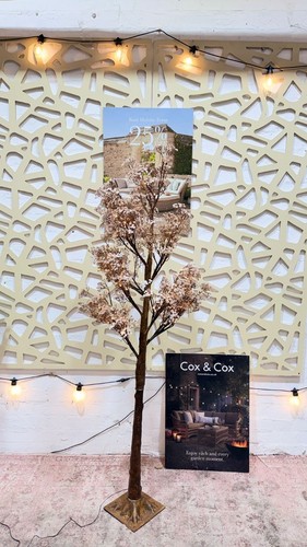 Indoor outdoor golden - outdoor,